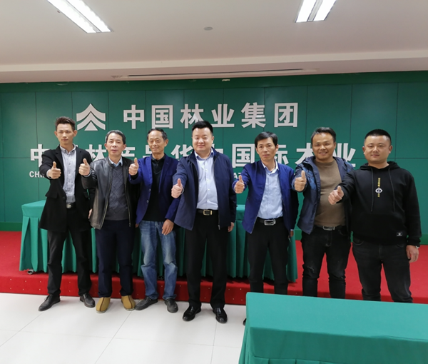 抗疫初捷，中林華中木業(yè)喜迎5家企業(yè)簽約落戶