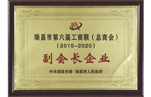 副會長企業(yè)